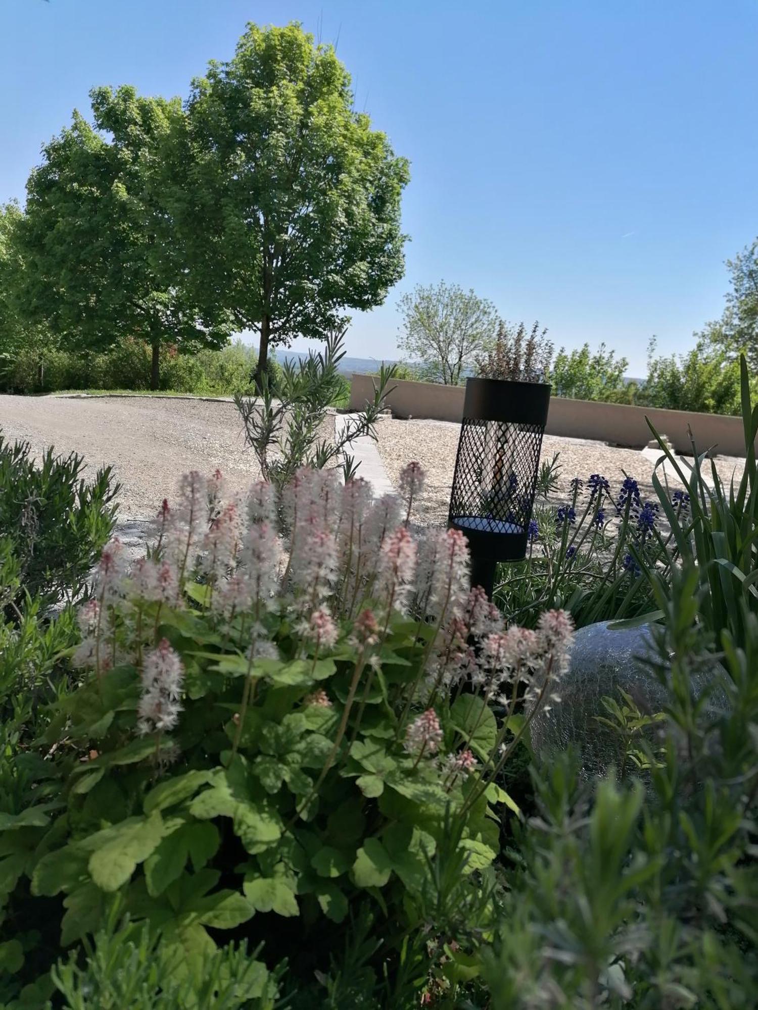 Ferienwohnung Schuhmann Mit Wintergarten Und Garten Therme Aquapulco Und Ikuna Erlebnispark, Zoo Schmiding 20 Min Mit Auto Entfernt Ab 3 Naechte Buchbar Hinzenbach Zewnętrze zdjęcie